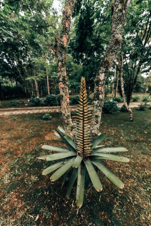 Отель Terra Verde Maua Висконди-ди-Мауа Экстерьер фото